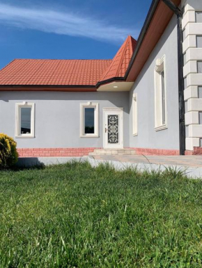 Entire house with pool for rent